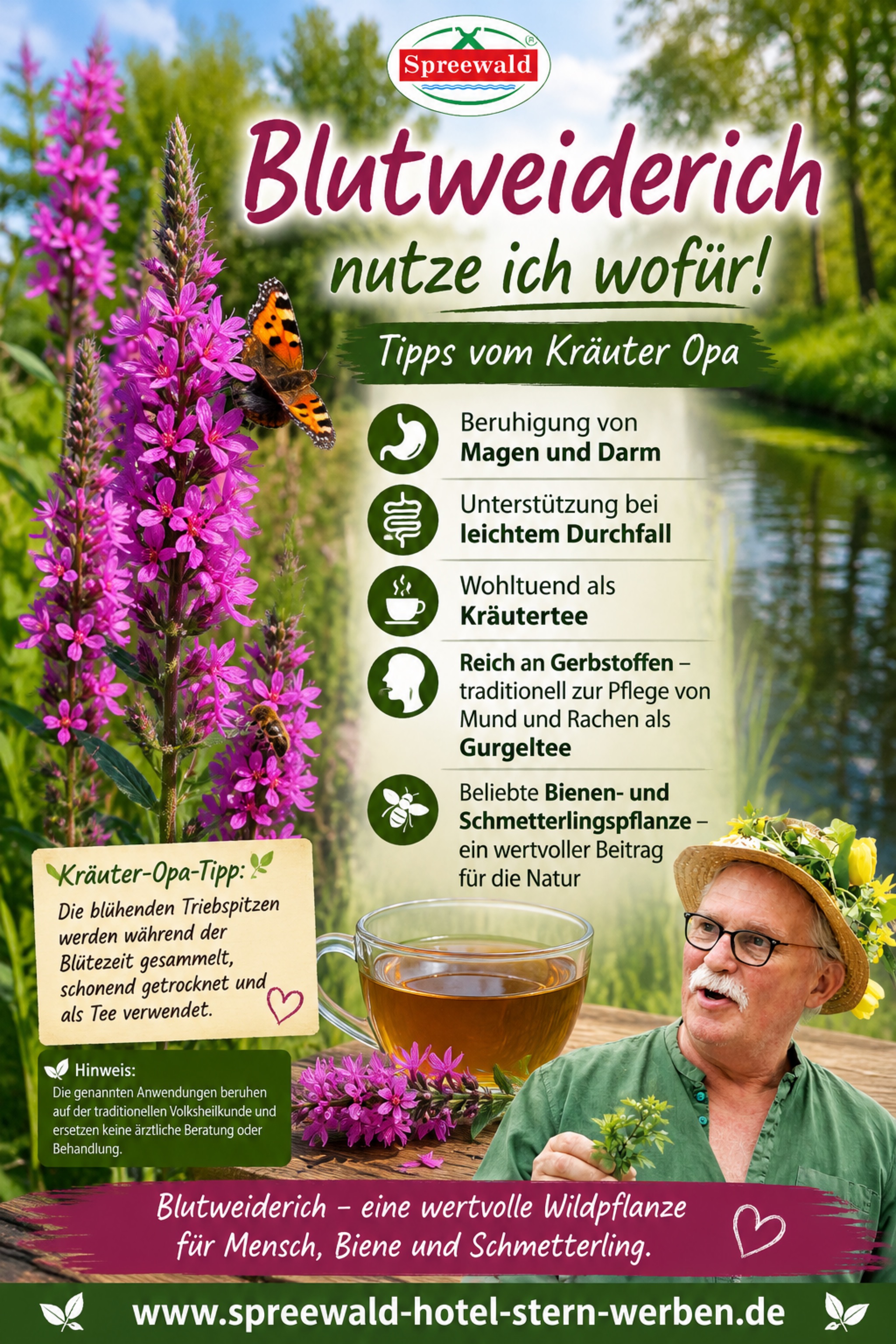 Blutweiderich 